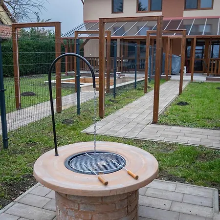 Nagyfoki Delelo 索尔沃什